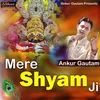 About Mere Shyam Ji Song